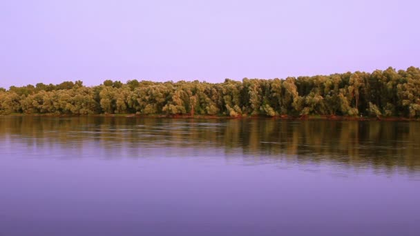 Río tranquilo y madera. Paisaje — Vídeo de stock