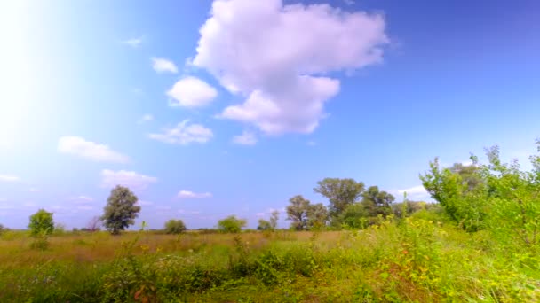 Paisaje rural con cielo. Time lapse Sin pájaros — Vídeo de stock