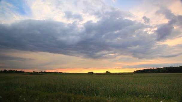 Steppenlandschaft mit schönen Wolken. ntsc-Zeitraffer — Stockvideo