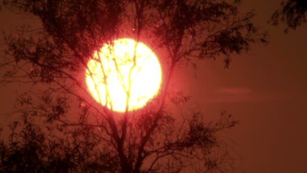 Movimento solar em ascensão.. NTSC Timelapse — Vídeo de Stock