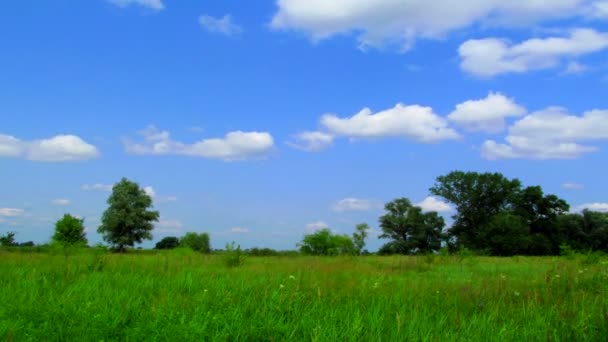 Bellissimo paesaggio con il cielo. Senza uccelli — Video Stock