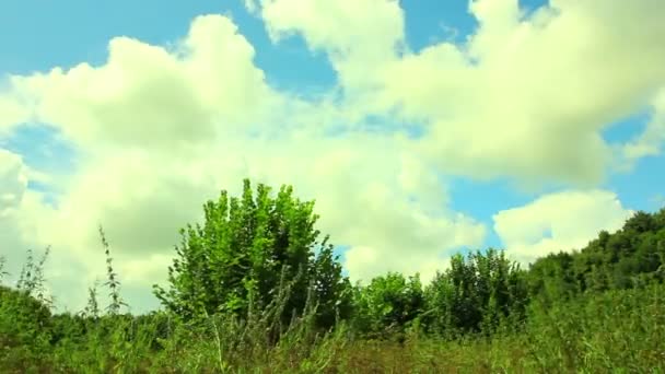 Paisaje rural en verano. NTSC Timelapse — Vídeos de Stock