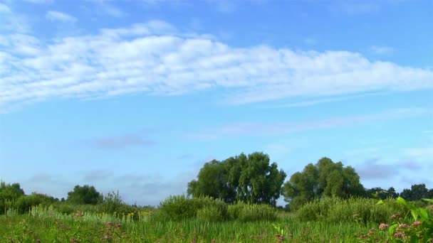 Helle Landschaft mit Wolken. Zeitraffer — Stockvideo