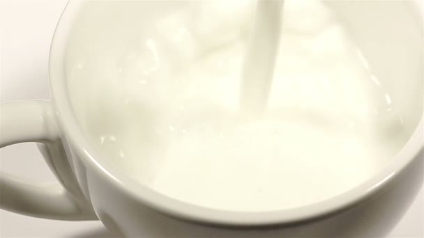 Milk flowing in a cup — Stock Video