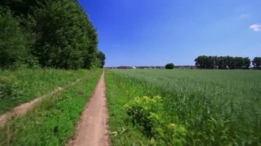 Ahşap olan bir alana kırsal yol