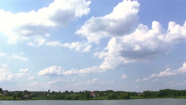 Hemel en het hout met een vijver. PAL time-lapse — Stockvideo