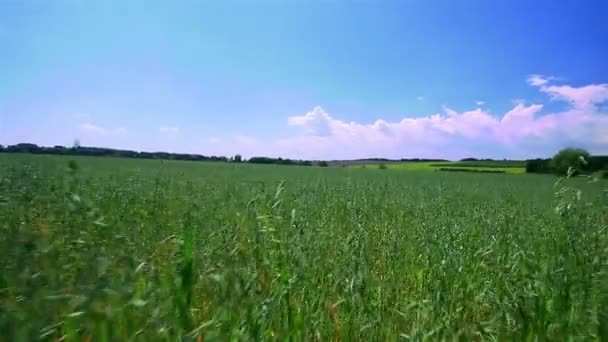 Paysage avec un champ vert et des nuages. Caméra de mouvement 