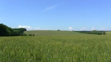 Buğday alan bulutlar ve bir duman. PAL zaman atlamalı