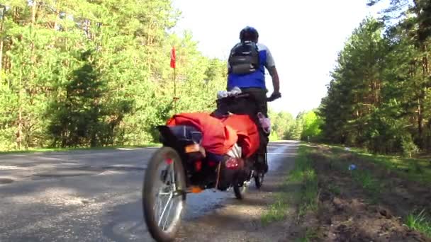 Radfahrer mit Anhänger fährt in eine Waldstraße — Stockvideo