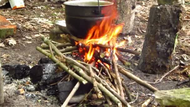 Wasserkocher über dem Feuer — Stockvideo