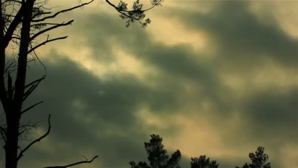 ドラマの空と雲の日没時間経過 — ストック動画