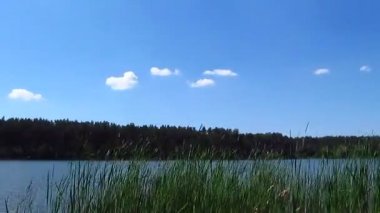 Nehir ve gökyüzü bulutlu. Manzara. Zaman atlamalı