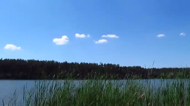 River and sky with clouds . Landscape. Time lapse — Stock Video