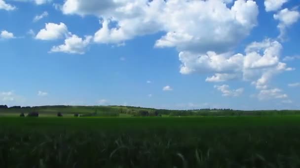 Grama em um prado e nuvens. Desfasamento temporal — Vídeo de Stock