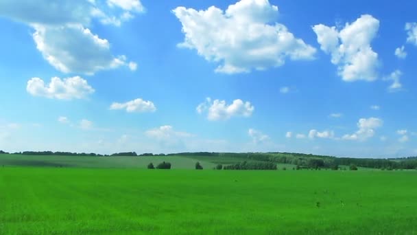 A szép zöld mező ég és a felhők. Idő telik el — Stock videók