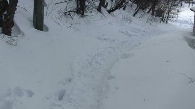 İniş bir kış patika üzerinde. POV video