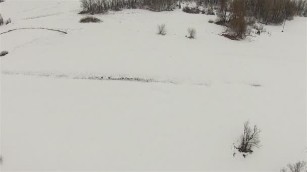 De bevroren rivier en het bos van hoogte — Stockvideo