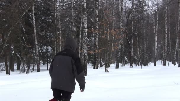 El invierno. Silueta del hombre que va en nieve profunda.PAL — Vídeos de Stock