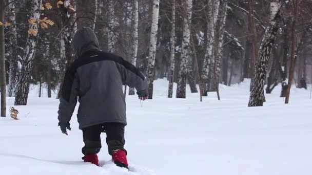 Zimą. Sylwetka człowieka dzieje w głębokim śniegu. — Wideo stockowe