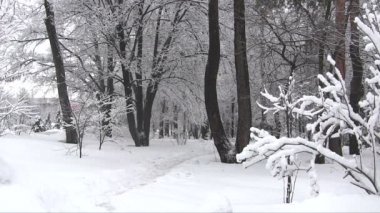 İnsan siluetleri ile kış orman