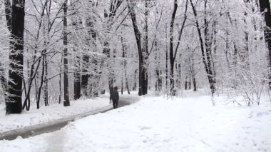 Kış parkta yaşlı adam figürü