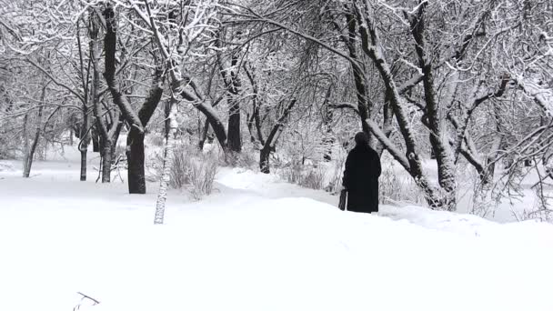 La silueta de la anciana en el bosque invernal — Vídeos de Stock