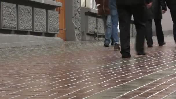 Movement people feets  in the city. Time lapse — Stock Video