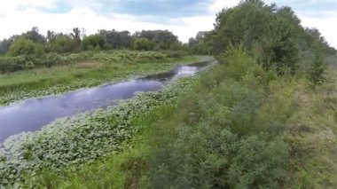 Yeşil ağaçlar hava manzara ile küçük nehir