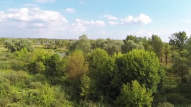 Uçuş alanında yalnız bir ağaç için. Hava manzara