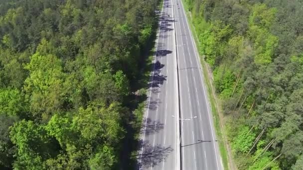 Flight over  highway with cars in  wood. Aerial slow motion — ストック動画