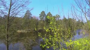 Bahar peyzaj park ve göl ile. Hava