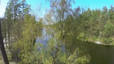 Ağaç ve nehir üzerinde yavaş uçuş. Havadan görünümü