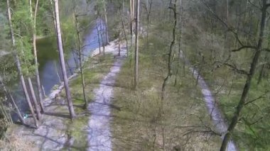 Nehir ile ahşap üzerine yavaş. Havadan görünümü