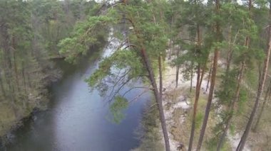 Uçuş yuvarlak nehir kıyısında bir ağaçta. Hava