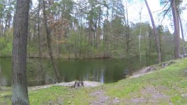 Nehir kıyısında ve ahşap. Hava bahar