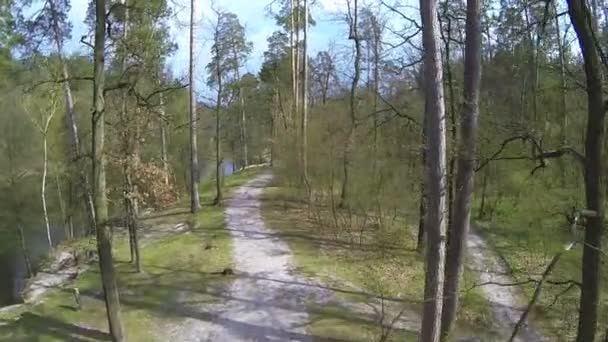 Au-dessus du bois avec la rivière. Vue aérienne 