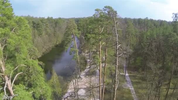 Au-dessus du bois avec rivière. Vue aérienne 