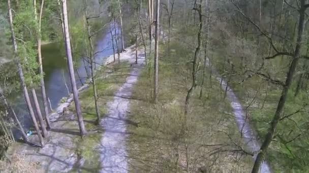 Ralentissez sur le bois avec la rivière. Vue aérienne 