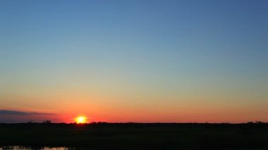 Mavi gökyüzü ve yalnız ağaç manzara