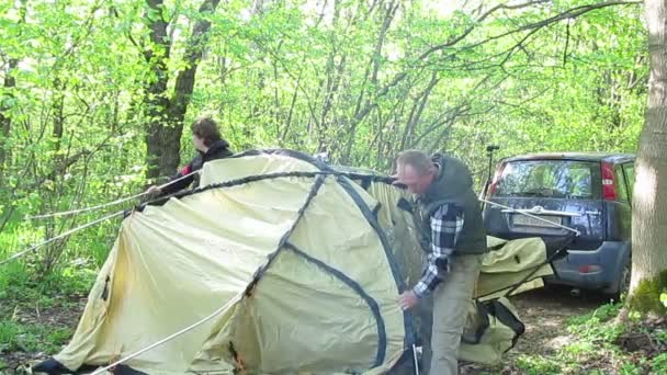 Dois turistas, homens, colocando tenda em madeira — Vídeo de Stock