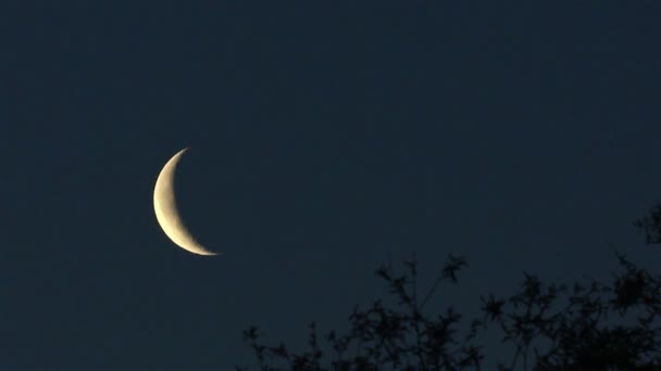 Luna nueva por la noche. Caducidad — Vídeo de stock