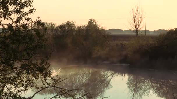 Nebbia mattutina sul fiume. Scadenza temporale — Video Stock