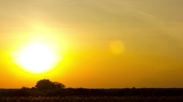 Subset in orange color.   time lapse clip without birds, RAW output — Stock Video