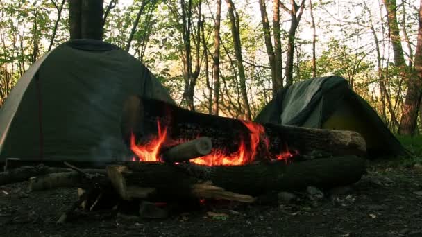 Tendas turísticas e fogo na floresta — Vídeo de Stock