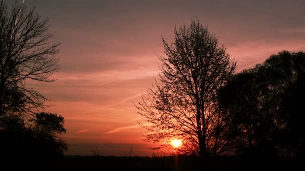 Salida del sol en el bosque en tonos rojos — Vídeo de stock