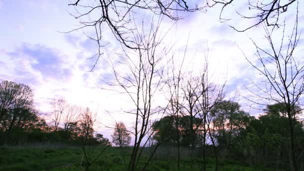 Himlen, moln och trä. Tidsinställd landskap — Stockvideo