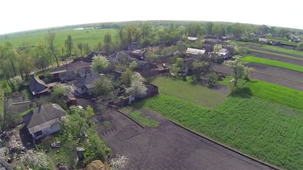 Gebruikelijke Oekraïense dorp met groene velden. Luchtfoto — Stockvideo