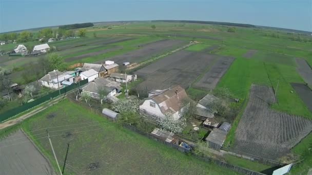 Vanliga ukrainska byn med gröna fält. Antenn — Stockvideo