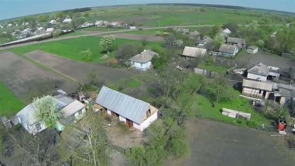 Solito villaggio ucraino con campi verdi. Aerea — Video Stock