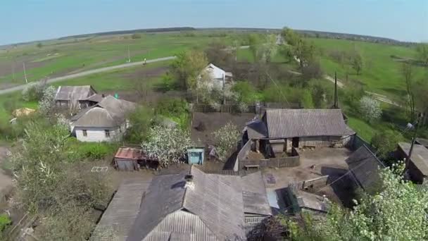 Usual Ukrainian village with green fields. Aerial — Stock Video